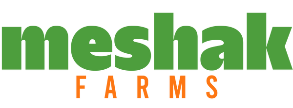 Meshak